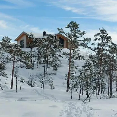 Modern With Panoramic Views Near Gautefall *